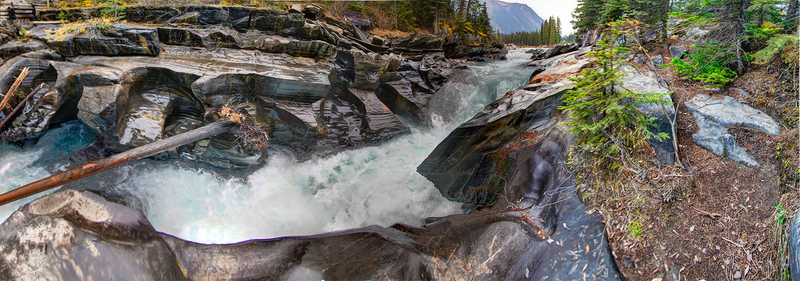 Kootenay River 5856