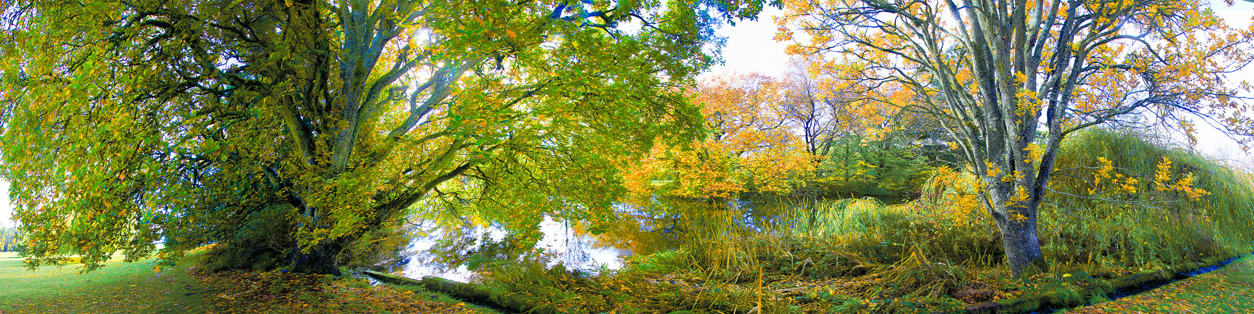 Pond Royal Roads 215630