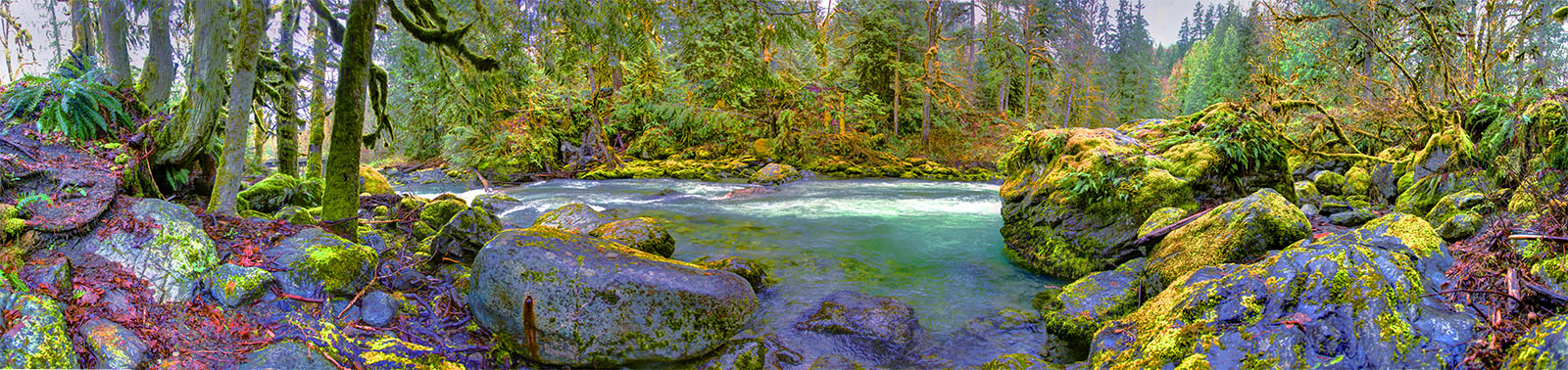 Tamihi Creek 181763