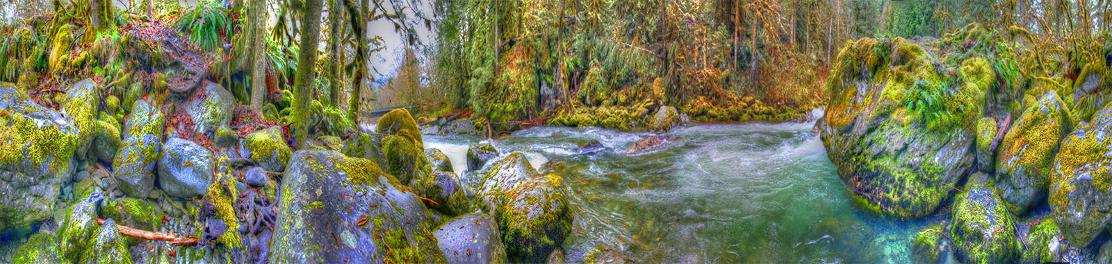 Tamihi Creekside MG 9260