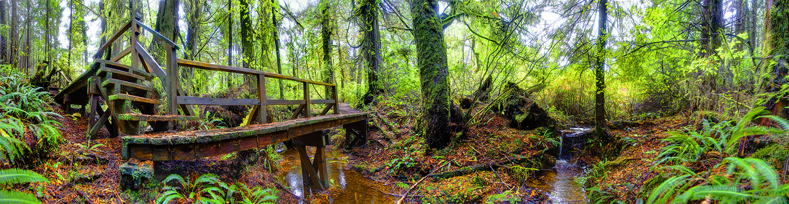 Walkway Bridge 210888